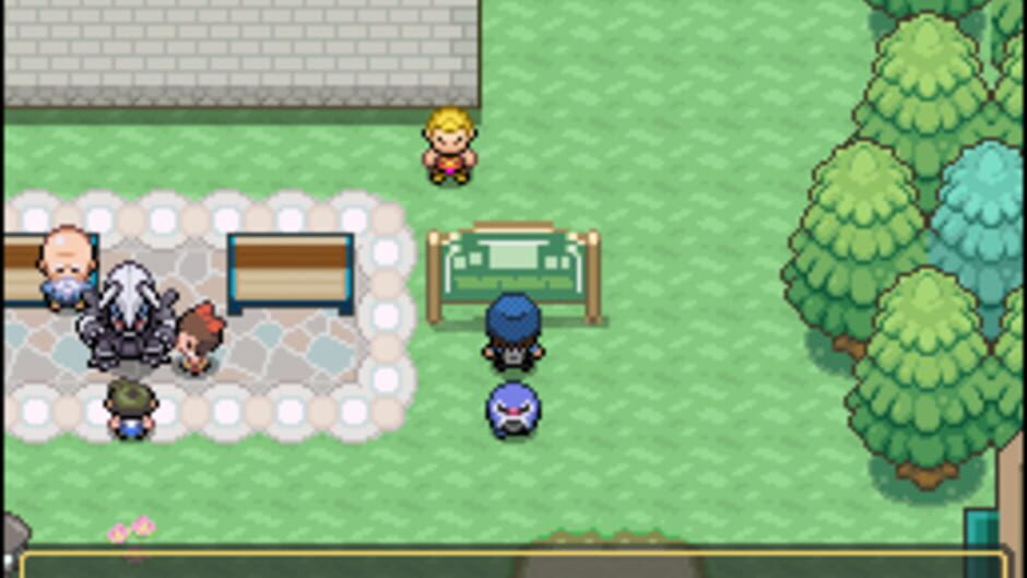 สกรีนช็อตจาก Pokémon Floral Tempus EX (รูปที่ 3)