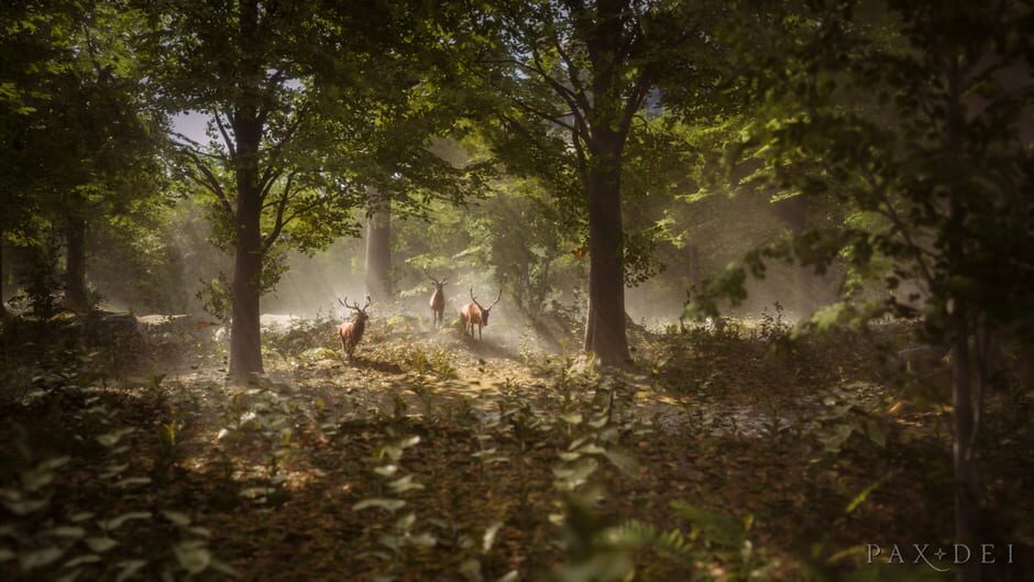 Screenshot Pax Dei