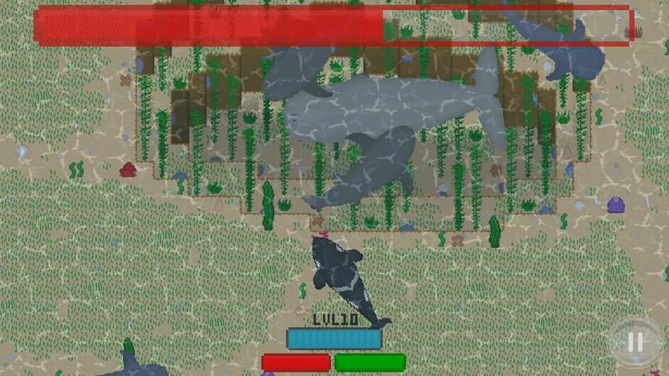 SharkKing Screenshot