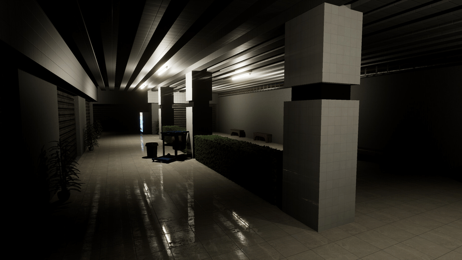 Project Liminal Redux Screenshot