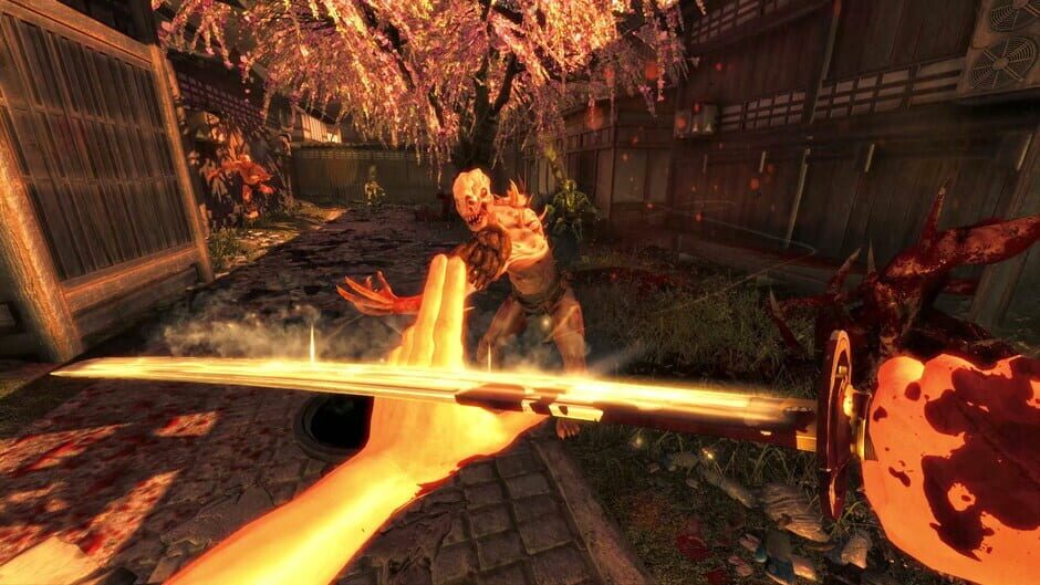 The Shadow Warrior Trilogy Screenshot