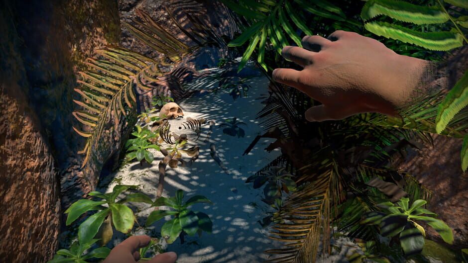 Memories From Beyond a Coral Sea Screenshot