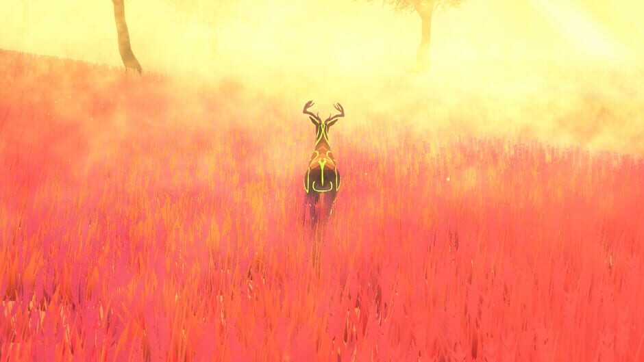 Bold screenshot 17