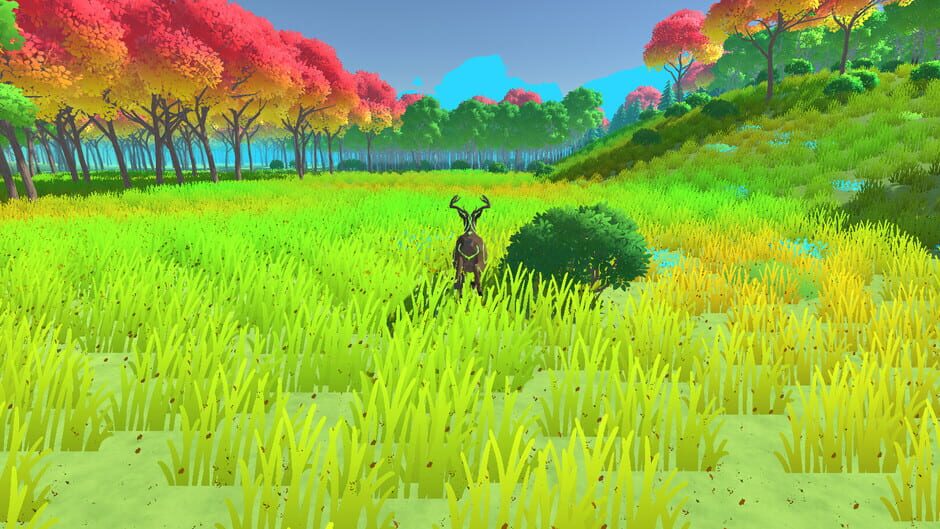 Bold screenshot 13