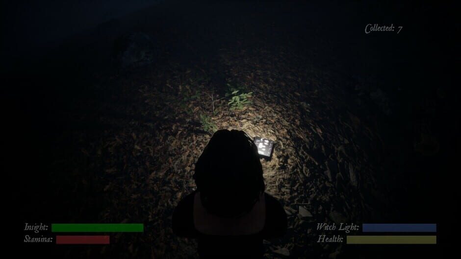 Inkubus Sukkubus: She of a Thousand Names Screenshot