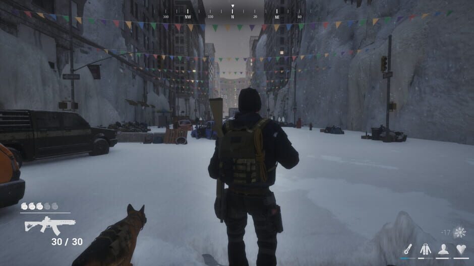 Postfrost screenshot 1