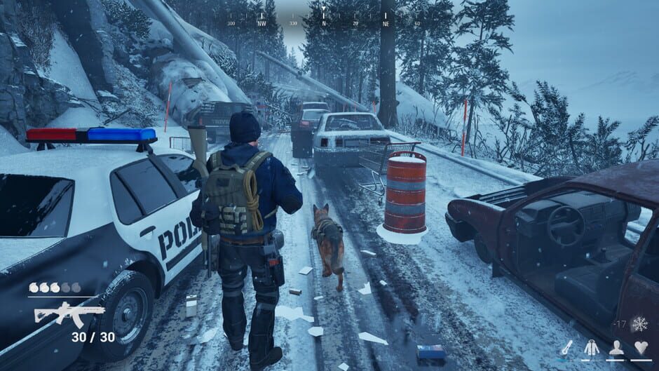 Postfrost screenshot 3