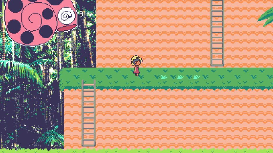 Saltwater Shells media thumbnail