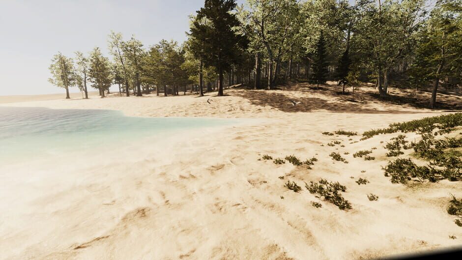 Natives screenshot