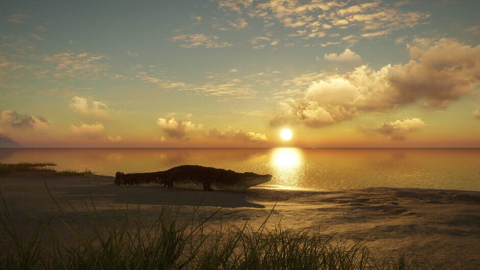 theHunter: Call of the Wild - Emerald Coast Australia Screenshot