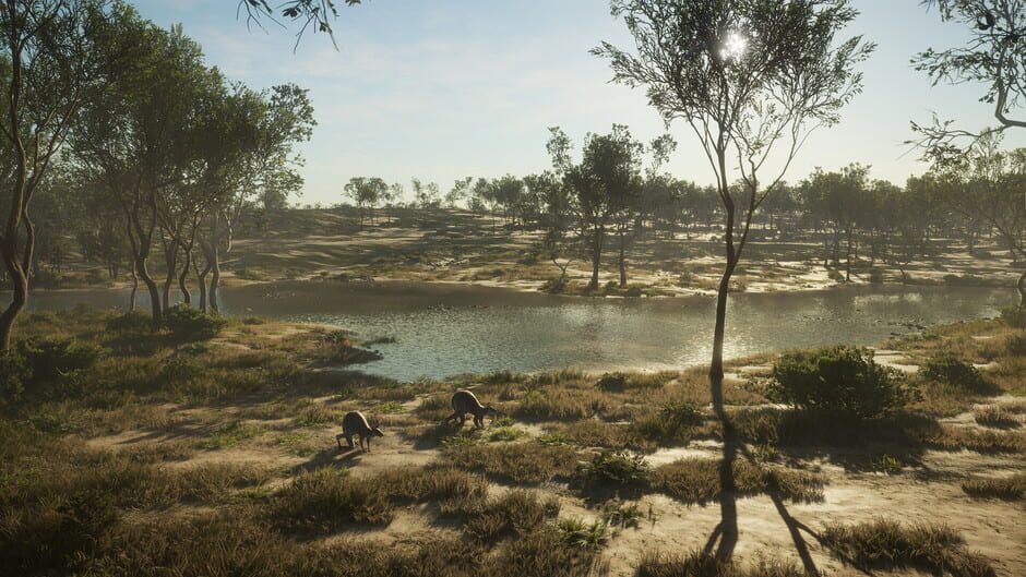 theHunter: Call of the Wild - Emerald Coast Australia Screenshot
