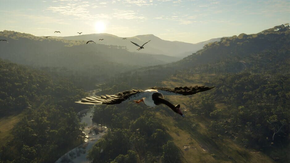 theHunter: Call of the Wild - Emerald Coast Australia Screenshot