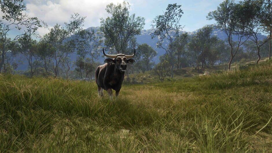 theHunter: Call of the Wild - Emerald Coast Australia Screenshot