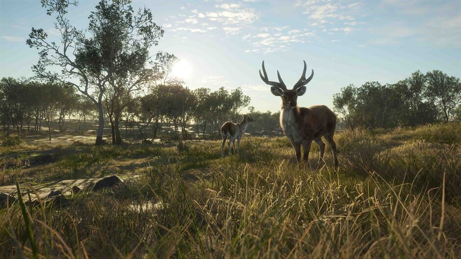 theHunter: Call of the Wild - Emerald Coast Australia Screenshot