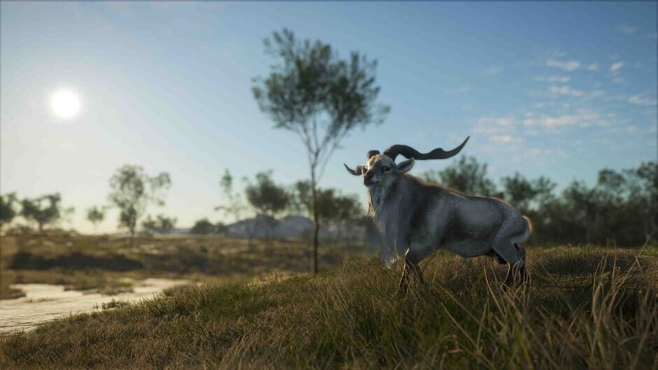 theHunter: Call of the Wild - Emerald Coast Australia Screenshot