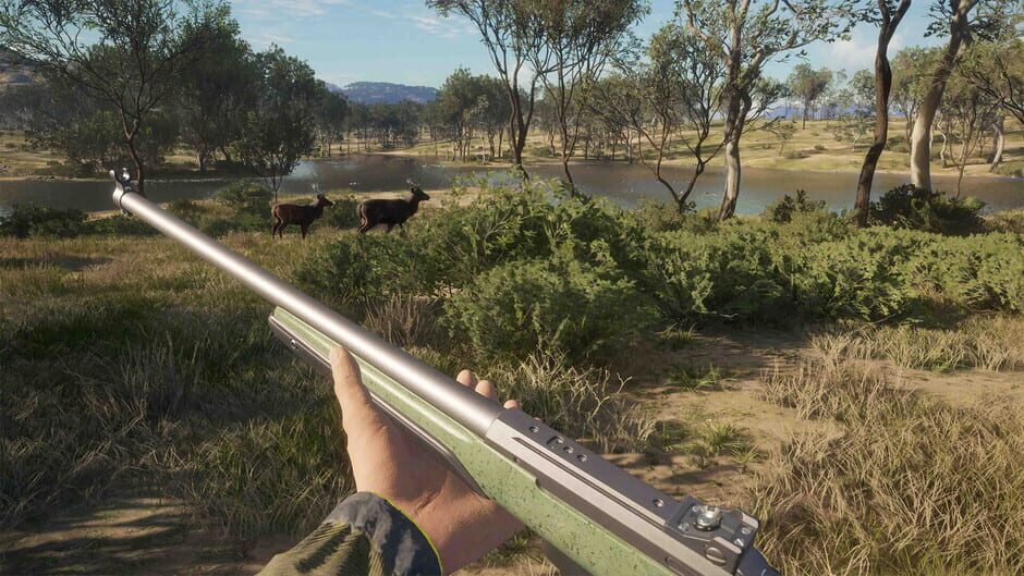 theHunter: Call of the Wild - Emerald Coast Australia Screenshot
