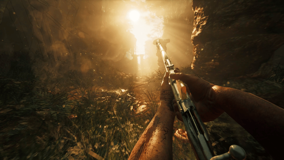 Their Land Screenshot