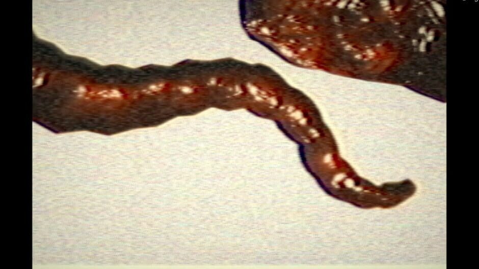 Pyramid Curse Screenshot