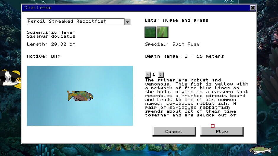 Down Under Screenshot