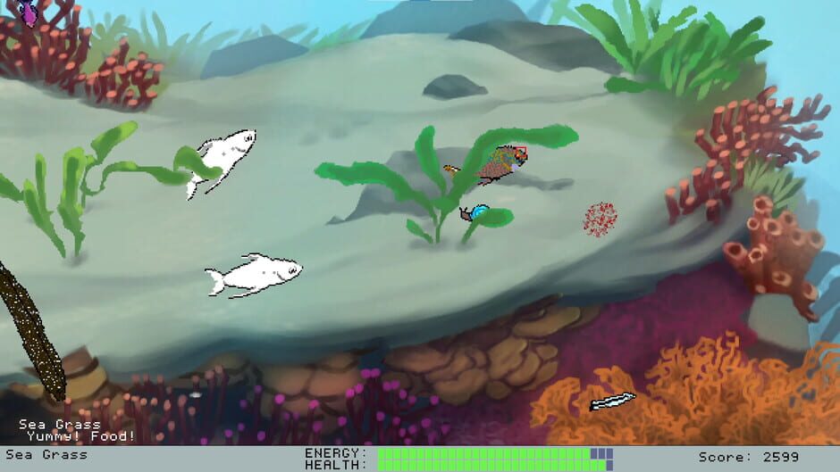 Down Under Screenshot