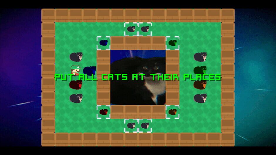 Push That Cat!! Screenshot