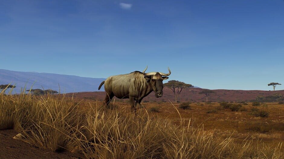 Way of the Hunter: Tikamoon Plains Screenshot