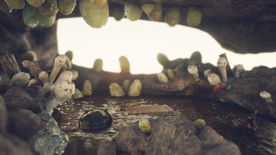 Skull Jones screenshot