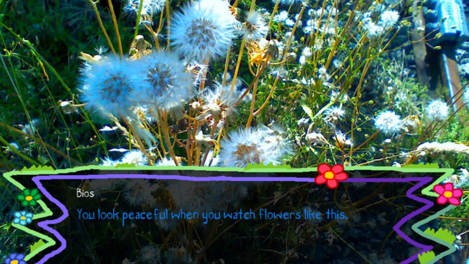 Tomorrow is my Birthday Screenshot