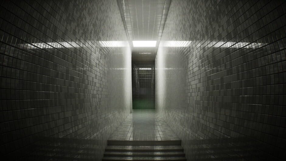 The Backrooms: Last Expedition Screenshot