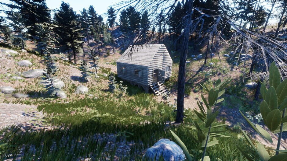 Your Journey of Survival Screenshot