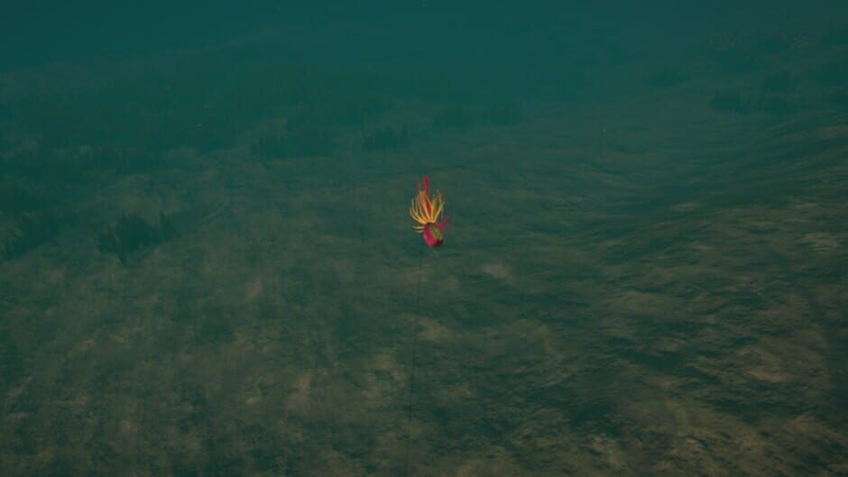 Ultimate Fishing Simulator: Florida Screenshot