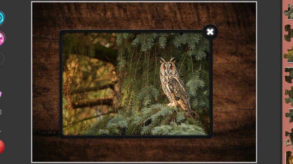 สกรีนช็อตจาก Nature & Wildlife: Jigsaw Puzzle - Expansion Pack 7 (รูปที่ 3)