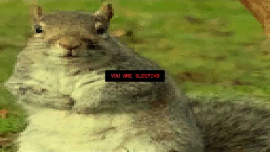 Squirrel Stapler, captura de tela 2