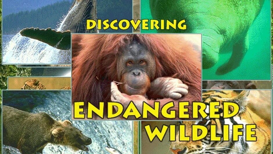 Screenshots Discovering Endangered Wildlife