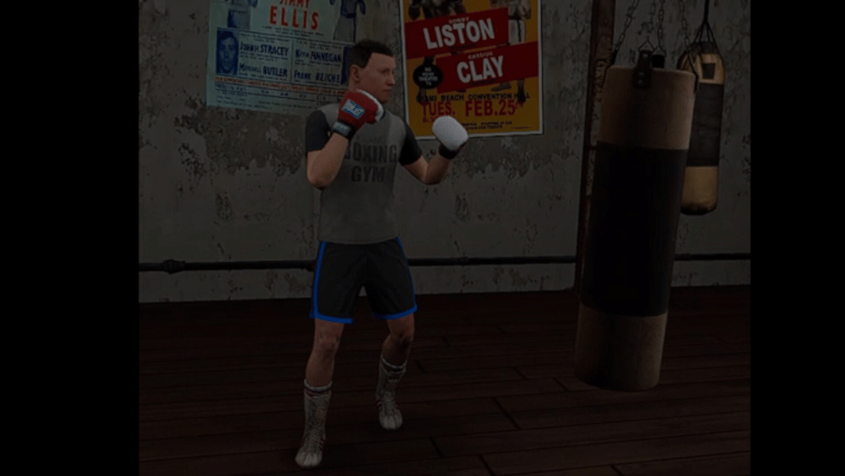 True Boxing VR Screenshot