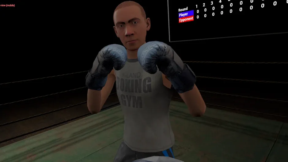 Capture d'écran de l'article