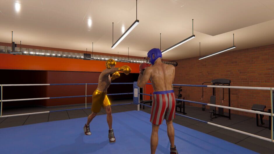 Gloves On! Screenshot