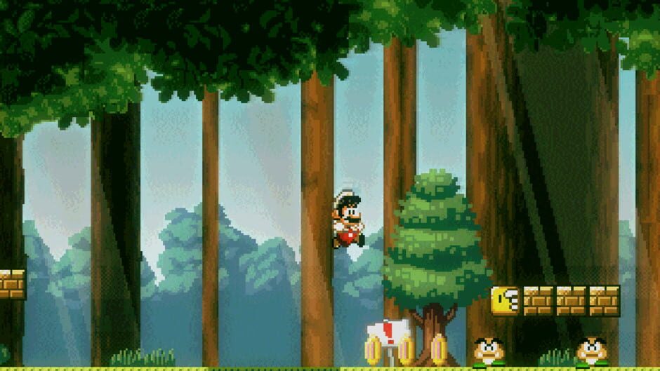 Screenshots Super Mario Bros. Friends