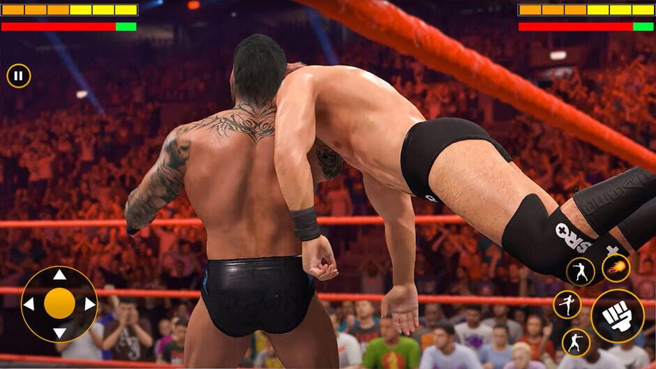 สกรีนช็อตจาก Real Wrestling Fighting Game (รูปที่ 3)