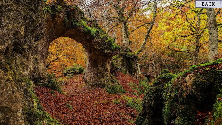 Wicked Times Screenshot