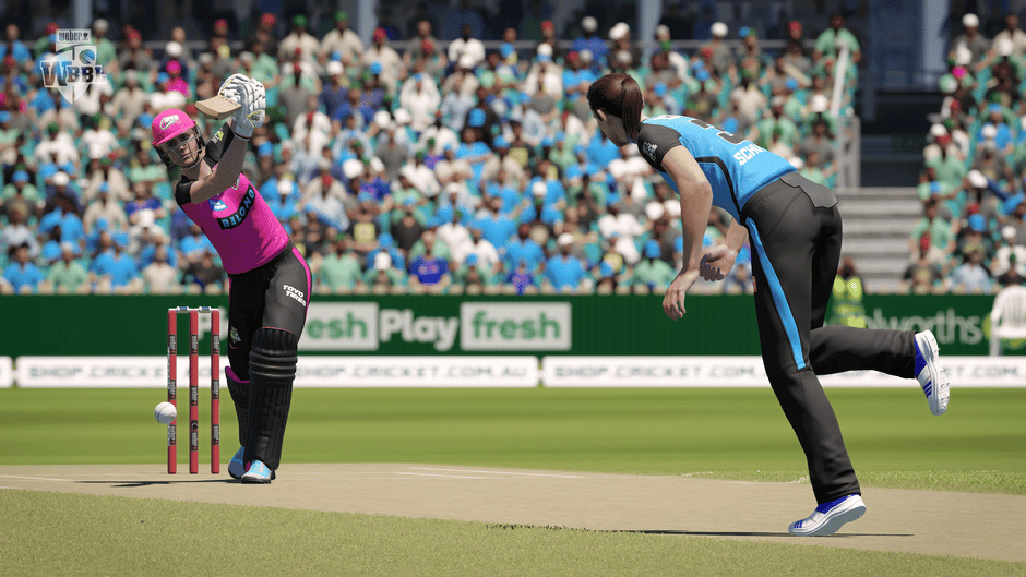Cricket 24 Screenshot