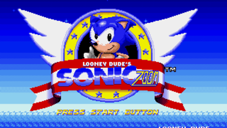 Sonic Zoom Screenshot