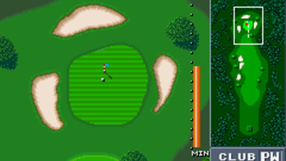 Birdie Try screenshot