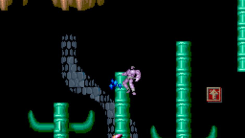 Black Tiger screenshot