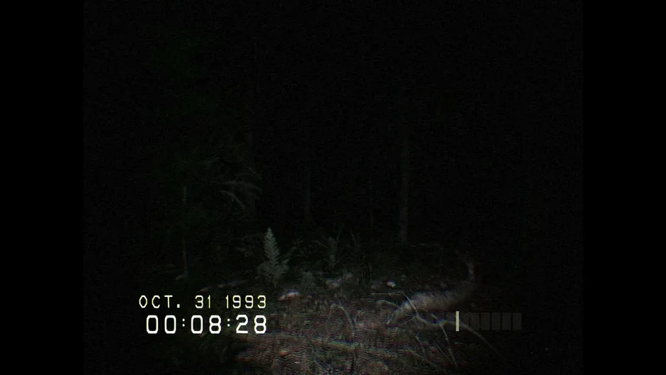 Don't Scream, captura de tela 1