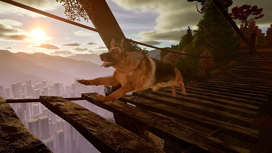 Doggy Up! Screenshot