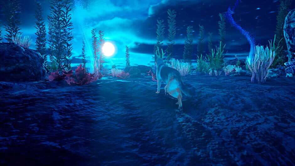 Doggy Up! Screenshot