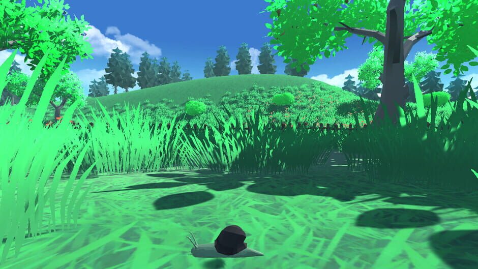 Snail Simulator Screenshot