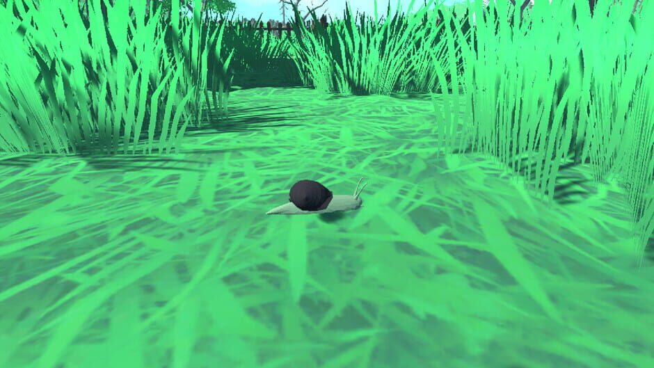 Snail Simulator Screenshot