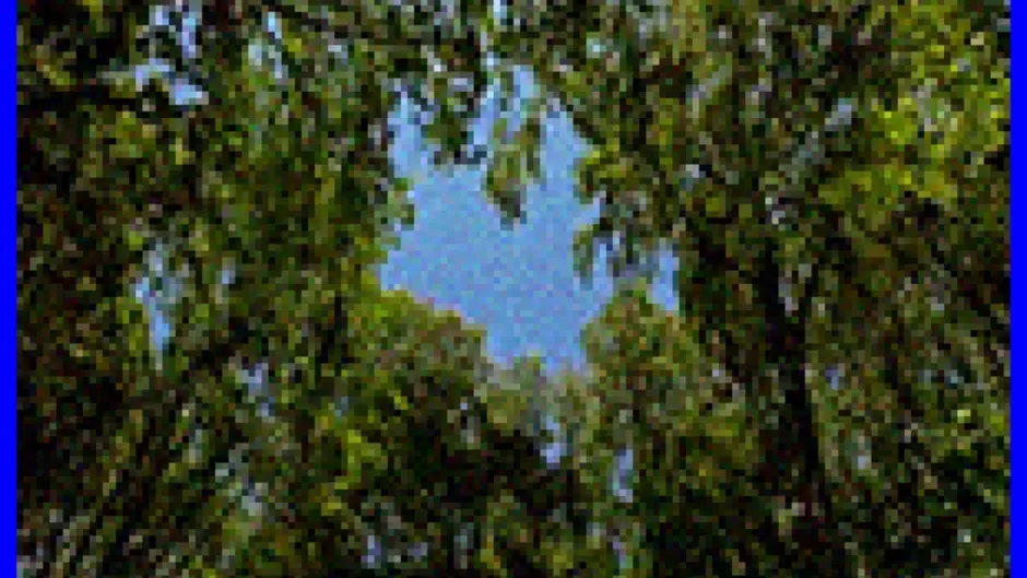 Capture d'écran de l'article